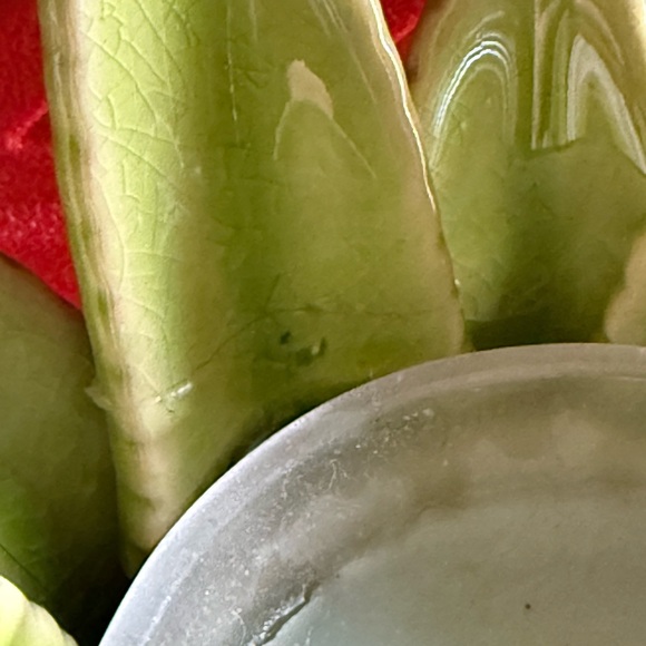 Scentsy “Aloe Vera” warmer - Picture 13 of 15